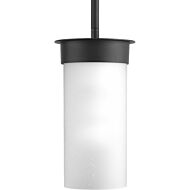 Hawthorne 1-Light Hanging Lantern in Black