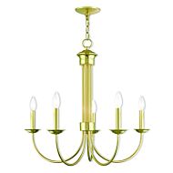 Estate 5-Light Chandelier in Polished Brass