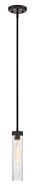 Braden 1-Light Mini Pendant in Iron (Graphite)