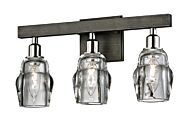 Citizen 3-Light Bathroom Vanity Light in Graphite And Polished Nickel