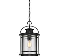 Quoizel Booker 11 Inch Outdoor Hanging Light in Mystic Black