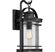 Quoizel Booker 11 Inch Outdoor Hanging Light in Mystic Black