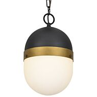 Brian Patrick Flynn for Crystorama Capsule 13 Inch Outdoor Ceiling Light in Black And Gold