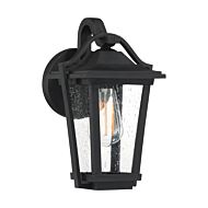 Quoizel Darius 7 Inch Outdoor Wall Light in Earth Black