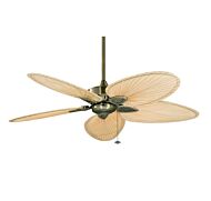 Fanimation 52 Inch Windpointe Indoor Ceiling Fan in Brass w/Palm Blades