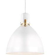 Brynne Pendant Light in Flat White And Chrome by Sean Lavin