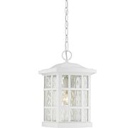 Quoizel Stonington 10 Inch Outdoor Hanging Light in White Lustre