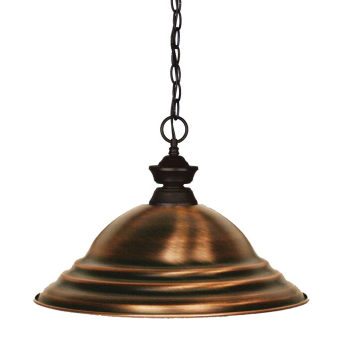 Z Lite Shark 1 Light Pendant Light In Bronze