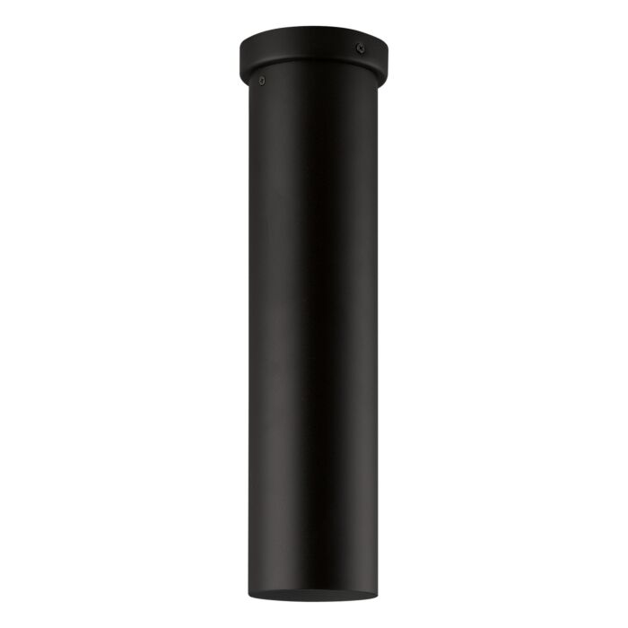 Tortoreto 1-Light Ceiling Mount in Matte Black