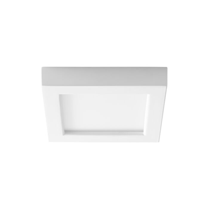 LED Ceiling Mount