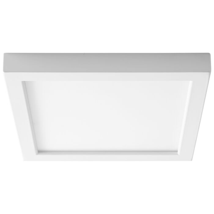 LED Ceiling Mount