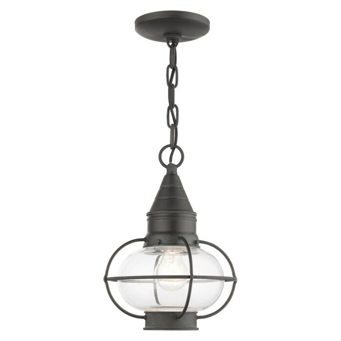 Newburyport 1-Light Outdoor Pendant in Charcoal