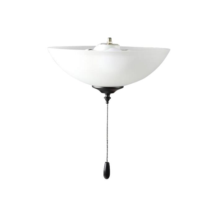 Fan Light Kits 2-Light LED Ceiling Fan Light Kit Light Kit in Black