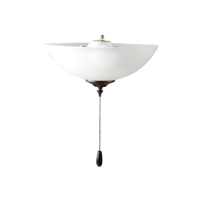 Fan Light Kits 2-Light LED Ceiling Fan Light Kit Light Kit in Oil Rubbed Bronze