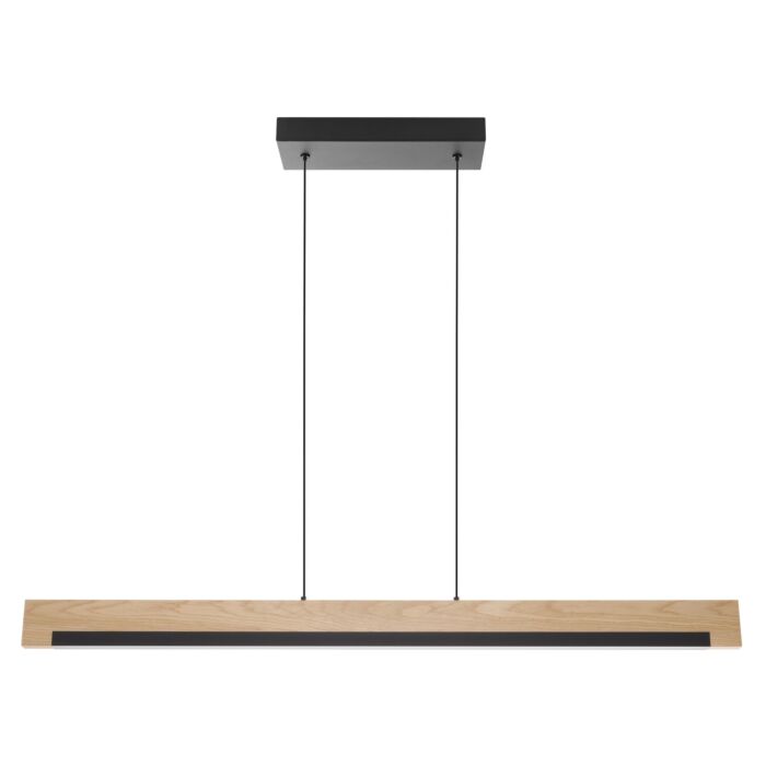 Camacho 1-Light LED Pendant in Black