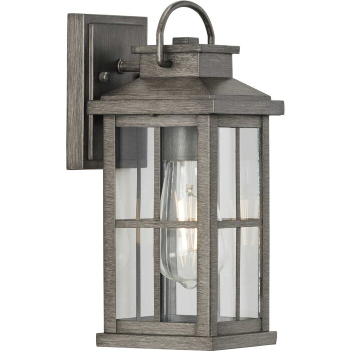 Williamston 1-Light Wall Lantern in Antique Pewter
