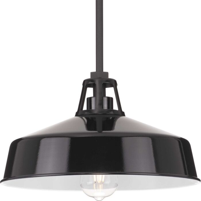Cedar Springs 1-Light Outdoor Pendant in Black