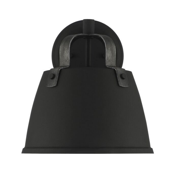 Albany 1-Light Wall Lantern in Black