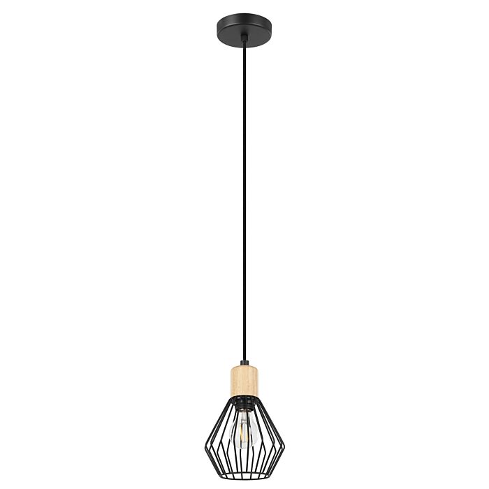 Palmorla 1-Light Pendant in Structured Black