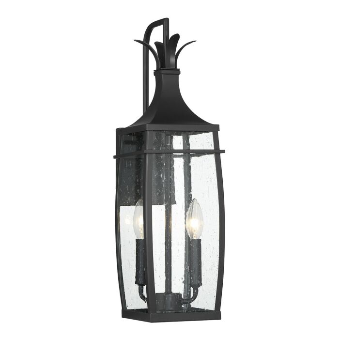 Two Light Outdoor Wall Lantern by Savoy House