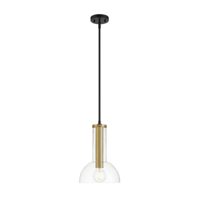 Nova 1-Light Pendant in Matte Black