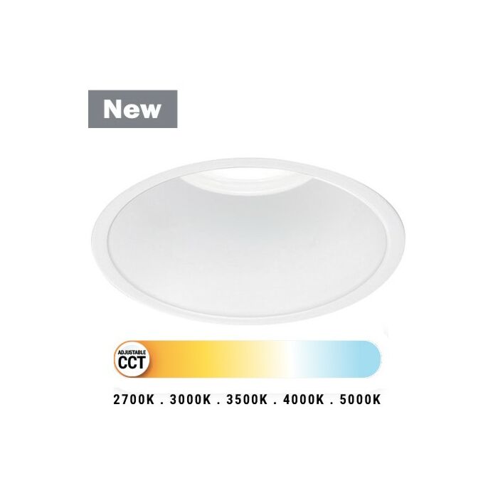 LED Downlight