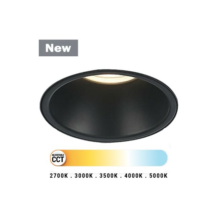 LED Downlight