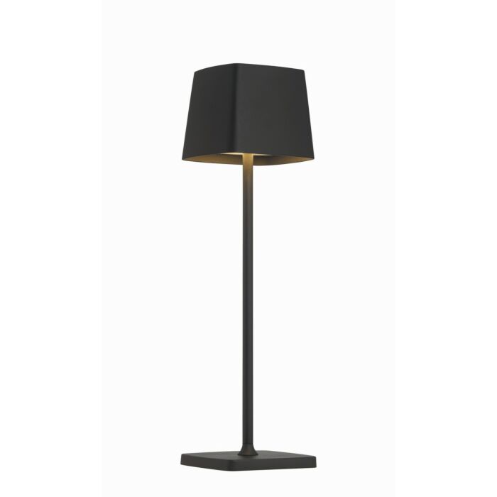 LED Table Lamp