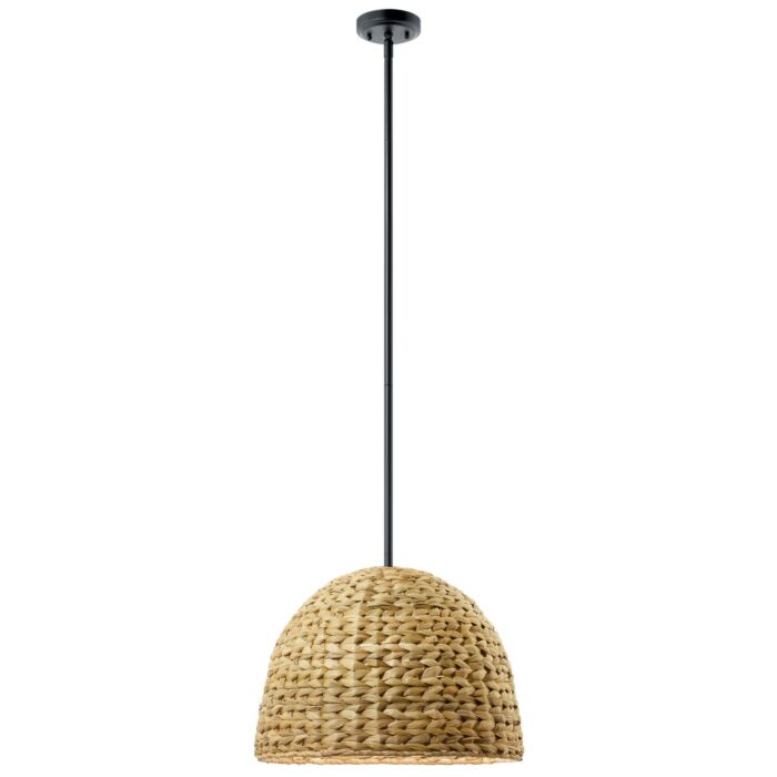 One Light Mini Pendant by Kichler