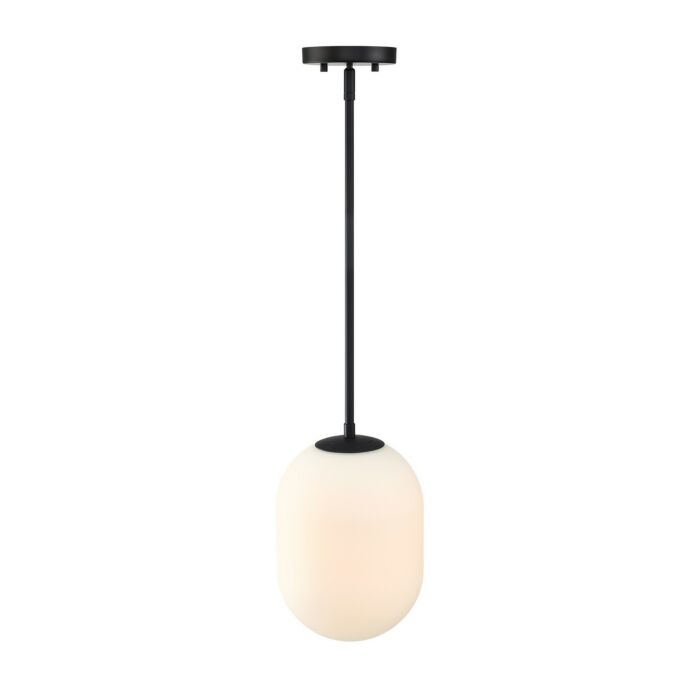 Noor 1-Light Pendant in Matte Black