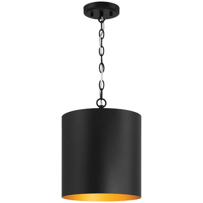 One Light Pendant
