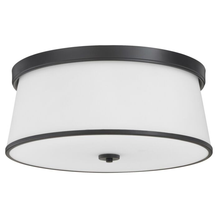 Four Light Ceiling Mount