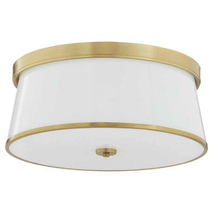 Four Light Ceiling Mount