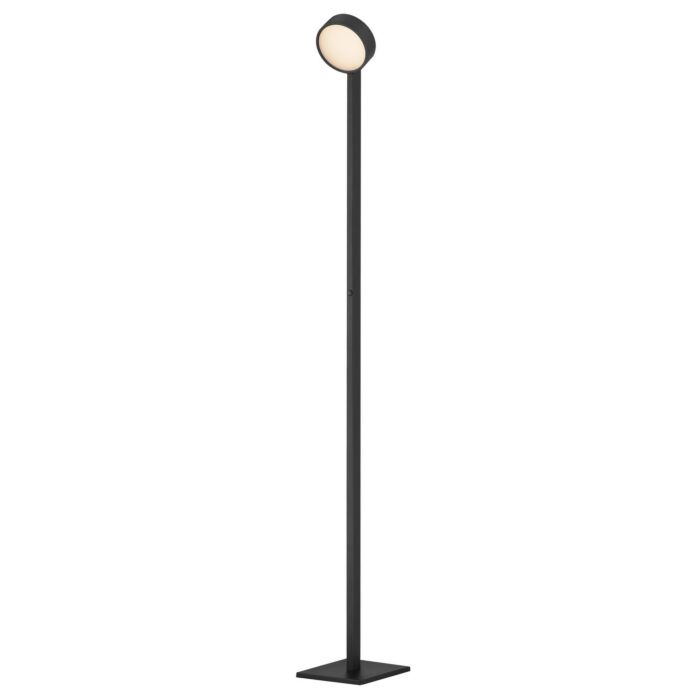 LED Floor Lamp