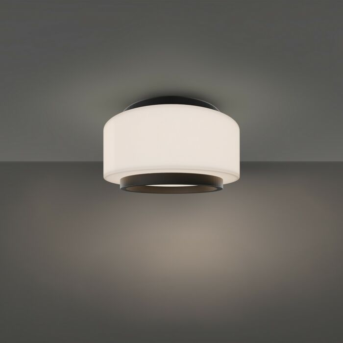 LED Flush Mount