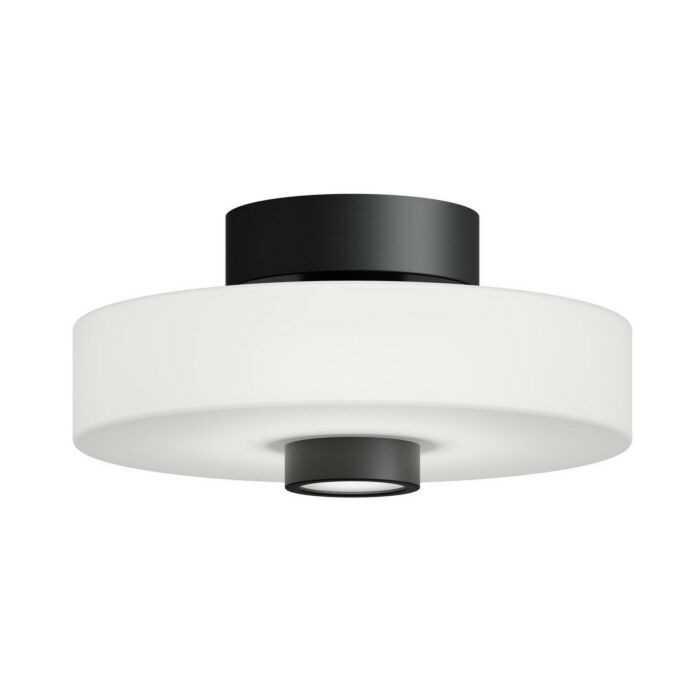 LED Ceiling Mount