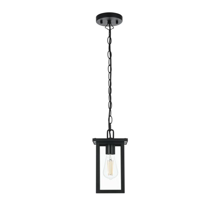 One Light Outdoor Pendant