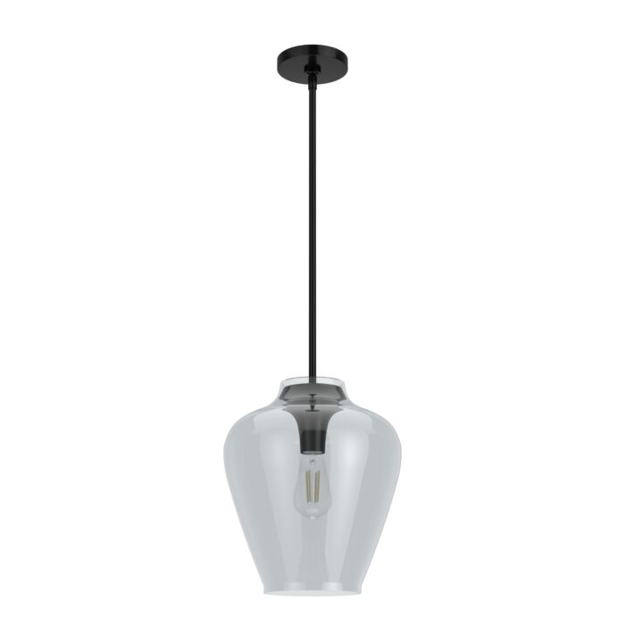 Hunter Vidria Smoked Glass 1-Light 12 Inch Pendant in Matte Black