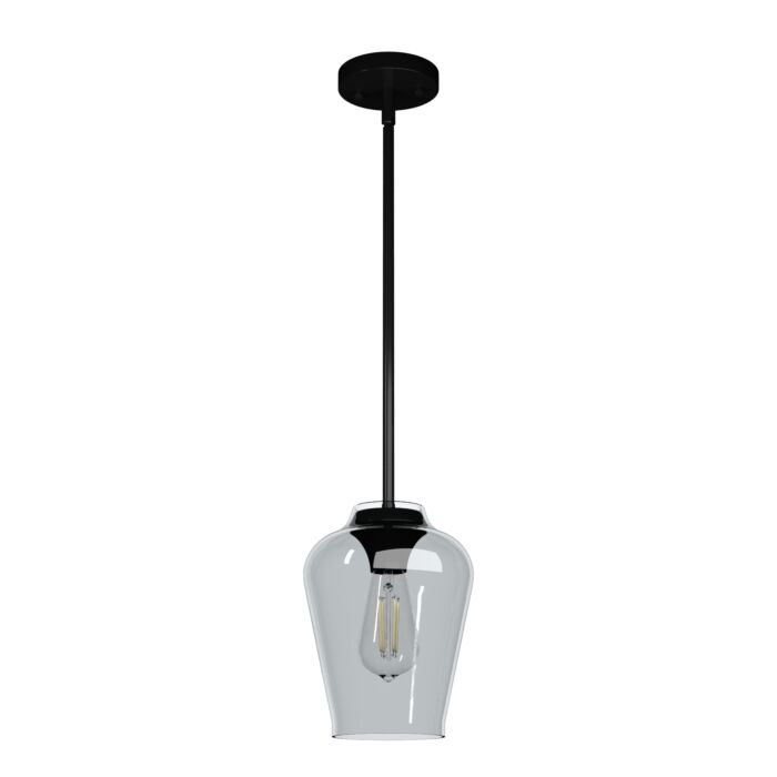 Hunter Vidria Smoked Glass 1-Light 7.25 Inch Mini Pendant in Matte Black