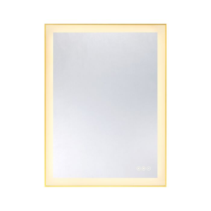 Paulding LED Rectangle Frontlit Mirror with Gold Frame
