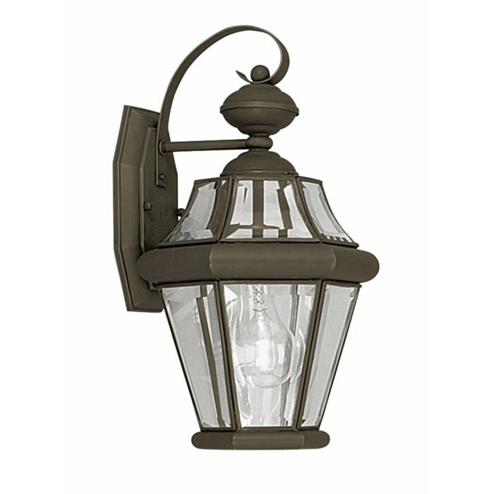 Georgetown 1-Light Outdoor Wall Lantern in Bronze