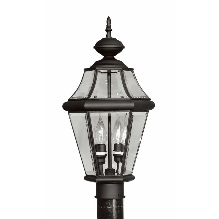 Georgetown 2-Light Outdoor Post Lantern in Black