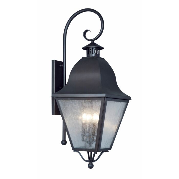 Amwell 4-Light Outdoor Wall Lantern in Black