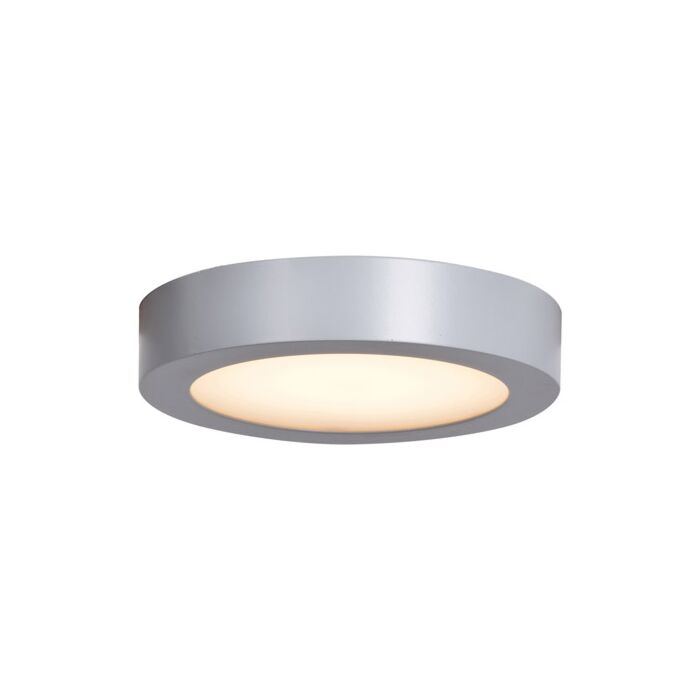 Access Ulko Exterior Outdoor Ceiling Light in Silver