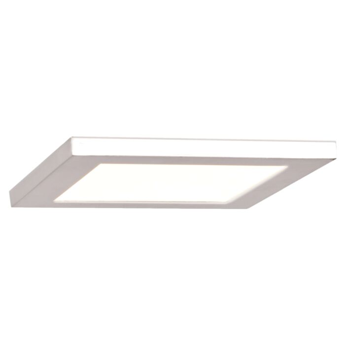 Access Boxer 8 Inch Ceiling Light in White
