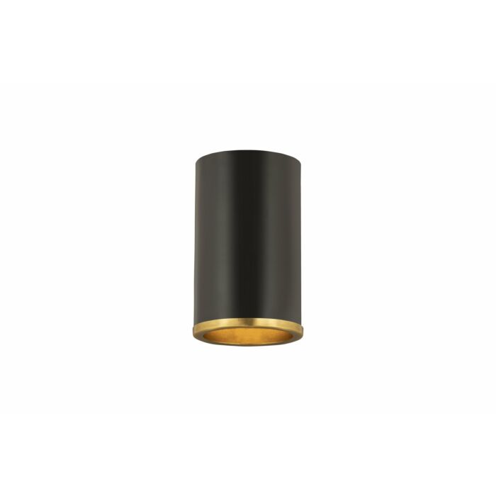Z Lite Arlo 1 Light Flush Mount Ceiling Light In Matte Black With Rubbed Brass
