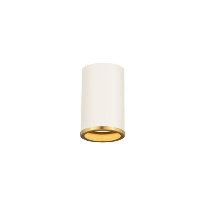 Z Lite Arlo 1 Light Flush Mount Ceiling Light In Matte White With Rubbed Brass