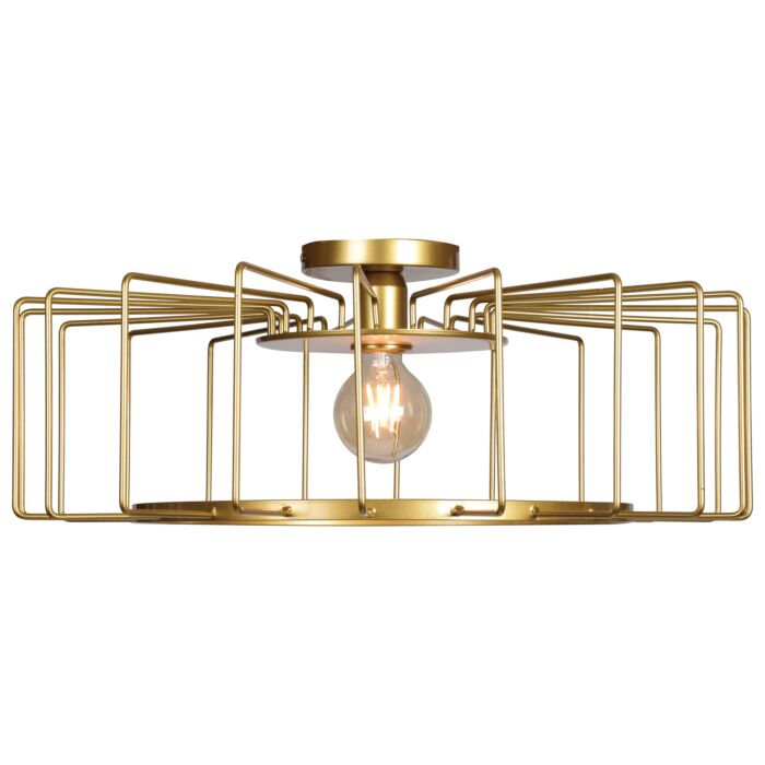 Access Wired Ceiling Light in Gold