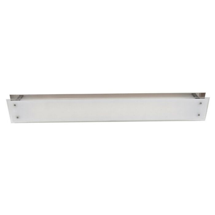 Access Vision 2 Light Wall/Ceiling Mount in Brushed Steel