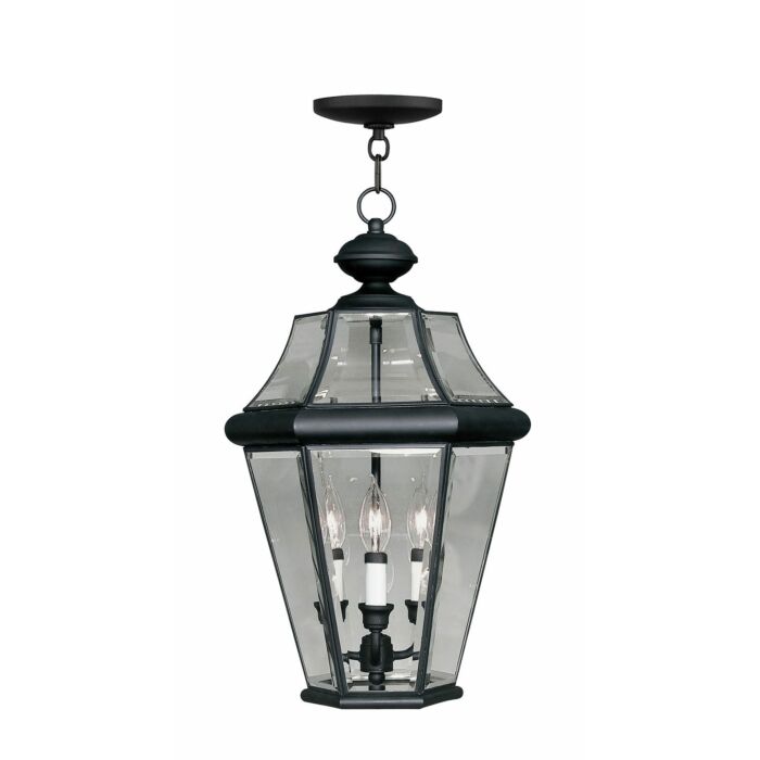Georgetown 3-Light Outdoor Pendant in Black